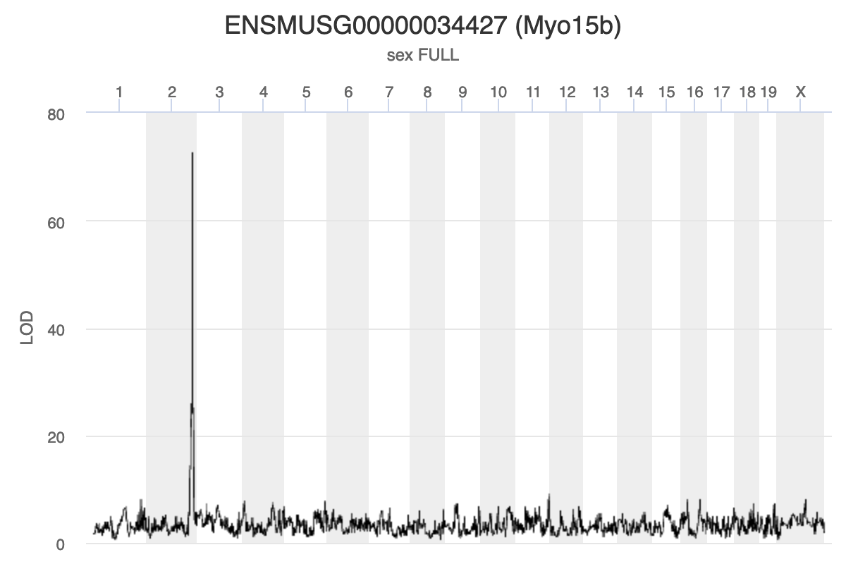 Chromosome 11 gene Myo15b is affected by expression of a trans gene in the chromosome 2 hotspot.