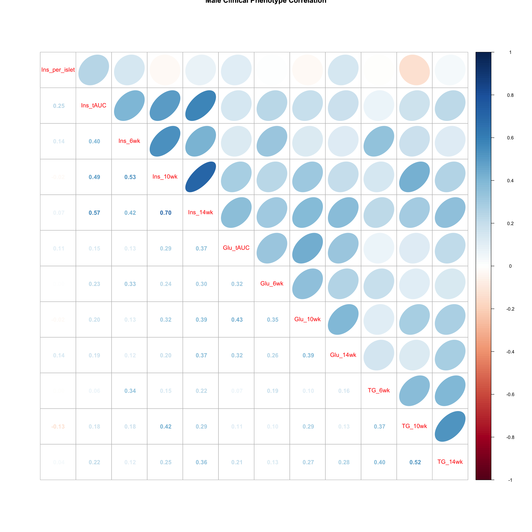 plot of chunk male_corr_plot