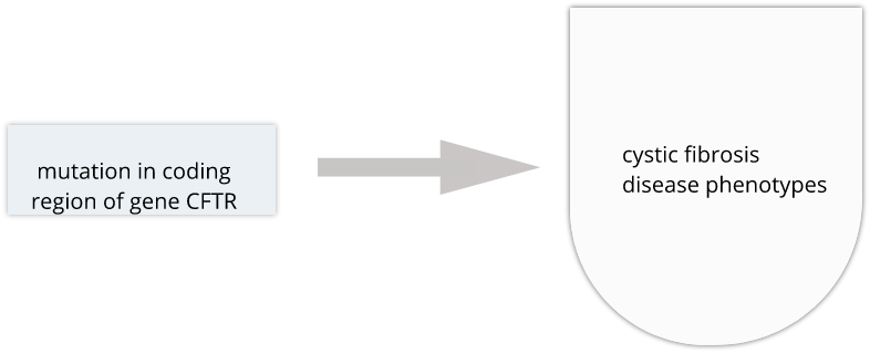 Single-gene diseases like cystic fibrosis are relatively well understood. In cystic fibrosis, mutations in the coding region of the CFTR gene result in a defective protein, leading to excess mucus production that can damage the lungs and digestive system.