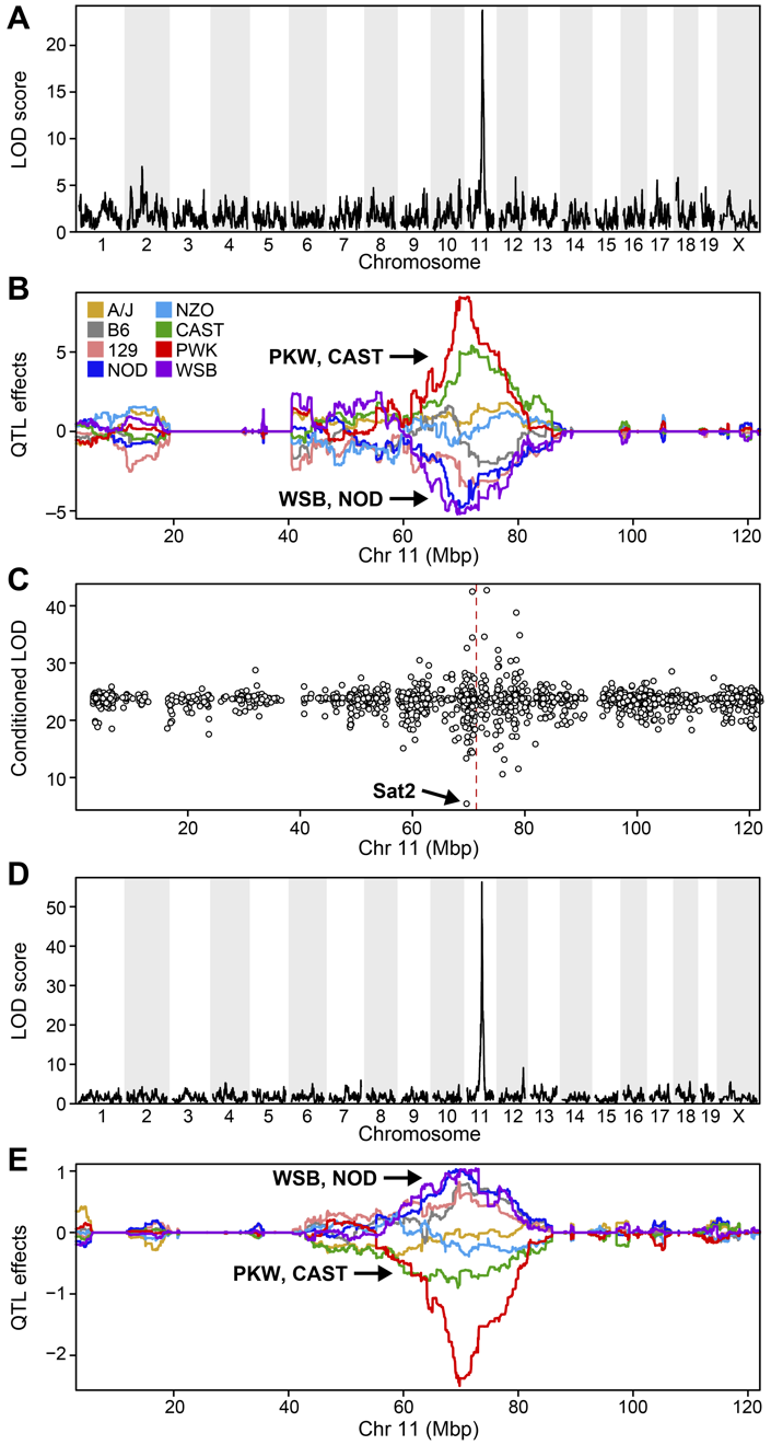 Attie et al, 2018 Supplementary Figure S7